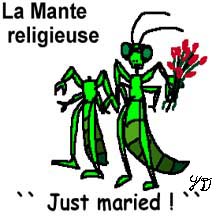 L'image « http://www.lesinsectesduquebec.com/images/just-maried.JPG » ne peut être affichée, car elle contient des erreurs.